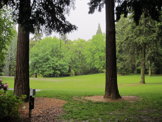 Laurelhurst Park Off Leash Area